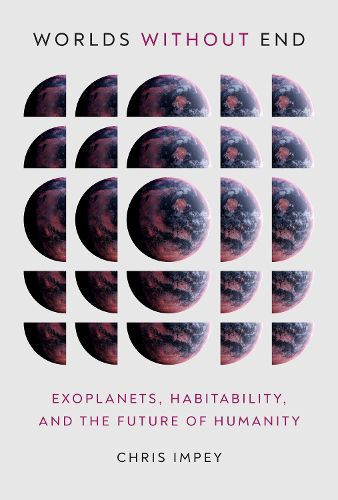 Cover image for Worlds Without End: Exoplanets, Habitability, and the Future of Humanity