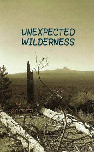 Cover image for Unexpected Wilderness