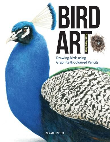 Cover image for Bird Art: Drawing Birds Using Graphite & Coloured Pencils