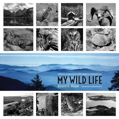 Cover image for My Wild Life: A Memoir of Adventures within America's National Parks