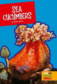 Cover image for Sea Cucumbers