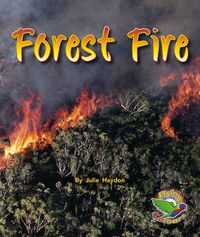 Cover image for Forest Fire