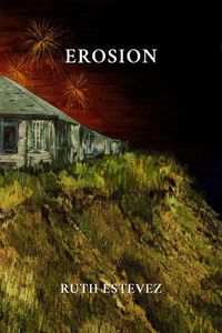 Cover image for Erosion