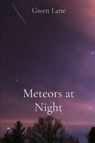 Cover image for Meteors at Night