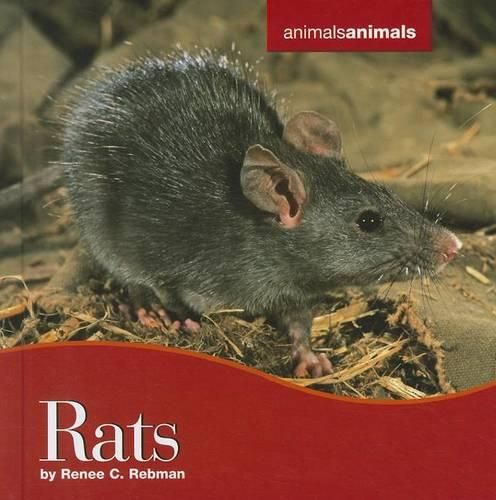 Cover image for Rats