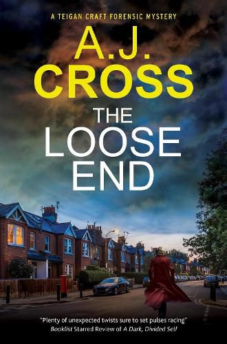 Cover image for The Loose End