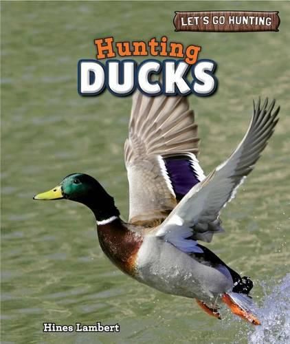 Cover image for Hunting Ducks