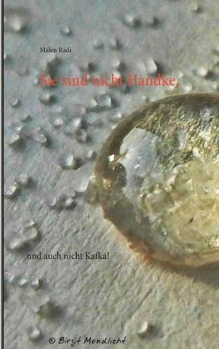 Cover image for Sie sind nicht Handke,: und auch nicht Kafka!