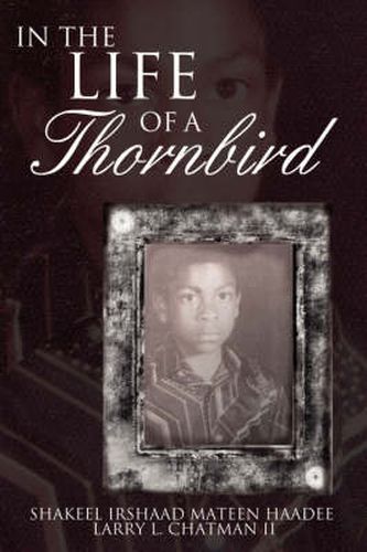 Cover image for In the Life of a Thornbird