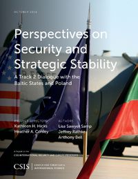 Cover image for Perspectives on Security and Strategic Stability: A Track 2 Dialogue with the Baltic States and Poland