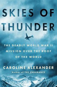 Cover image for Skies of Thunder