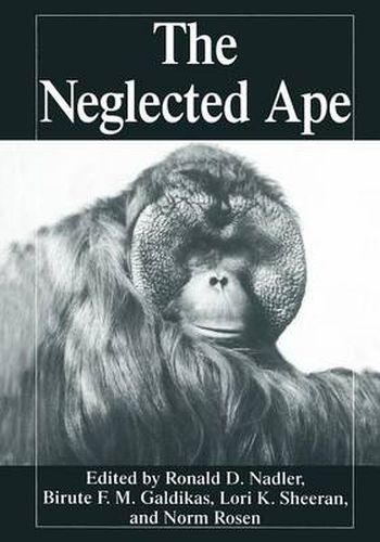 Cover image for The Neglected Ape