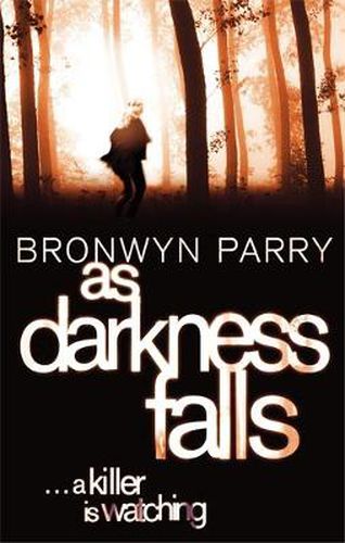 Cover image for As Darkness Falls: Number 1 in series