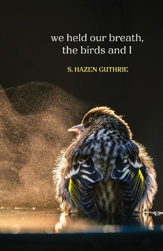 Cover image for we held our breath, the birds and I