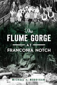 Cover image for Flume Gorge at Franconia Notch