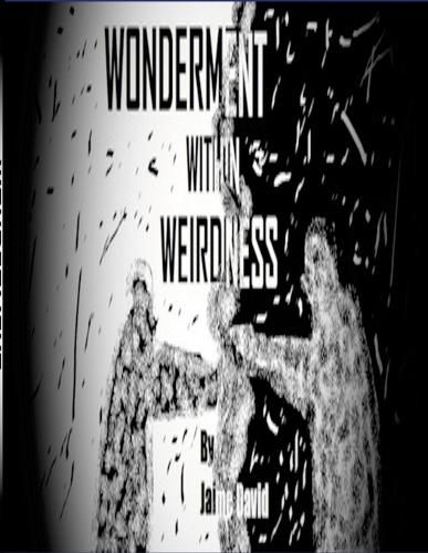 Cover image for Wonderment Within Weirdness