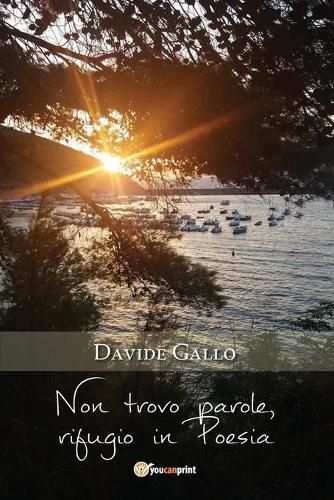 Cover image for Non trovo parole, rifugio in Poesia