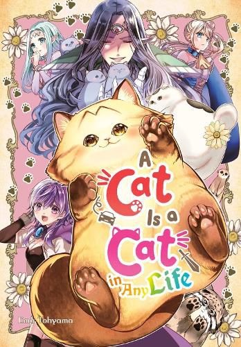 Cover image for A Cat Is a Cat in Any Life