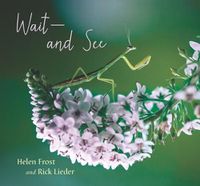 Cover image for Wait and See