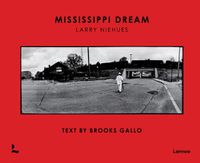 Cover image for Mississippi Dream