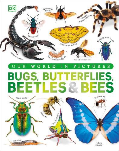 Cover image for Our World in Pictures Bugs, Butterflies, Beetles and Bees