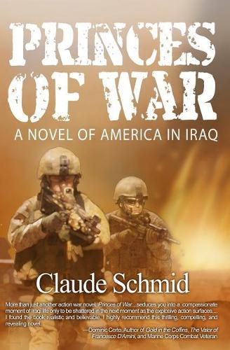 Cover image for Princes of War: A Novel of America in Iraq