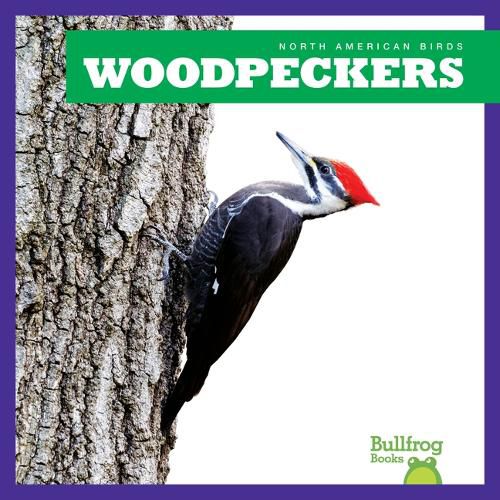 Woodpeckers