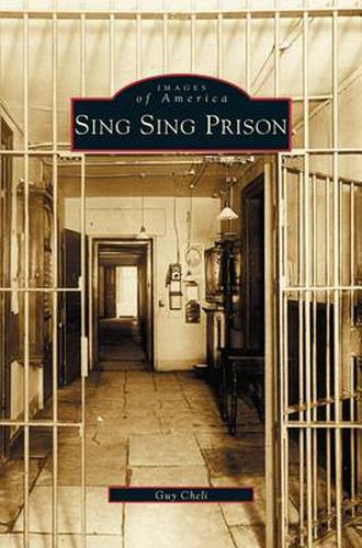 Cover image for Sing Sing Prison