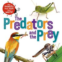 Cover image for The Insects that Run Our World: The Predators and The Prey