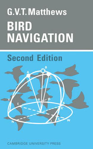 Cover image for Bird Navigation