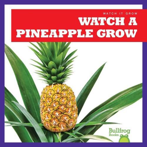 Cover image for Watch a Pineapple Grow