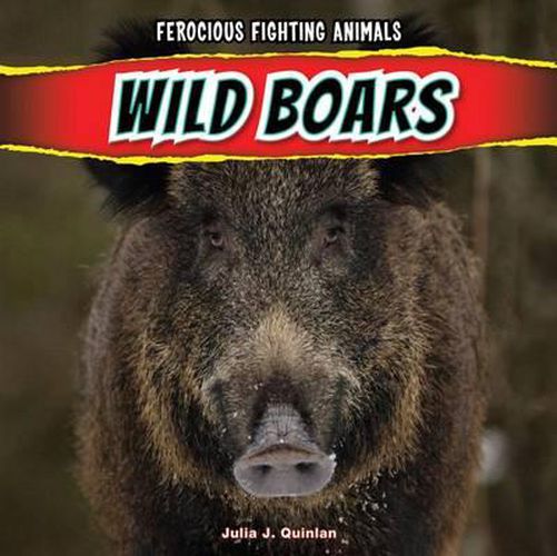 Wild Boars