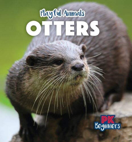 Cover image for Otters