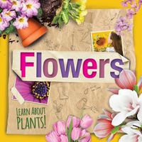 Cover image for Flowers