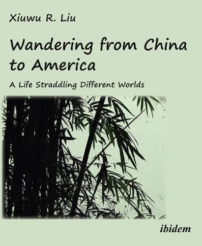 Cover image for Wandering from China to America