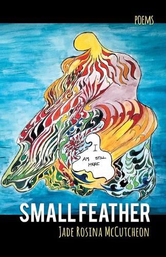 Cover image for Small Feather