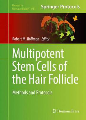 Multipotent Stem Cells of the Hair Follicle: Methods and Protocols