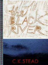 Cover image for The Black River