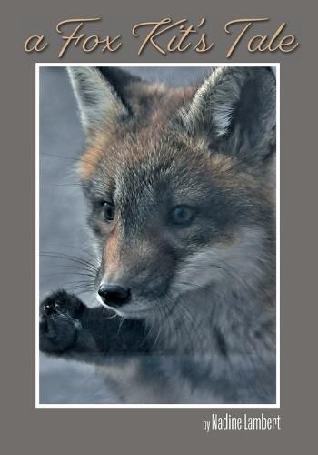 Cover image for A Fox Kit's Tale