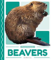 Cover image for Pond Animals: Beavers