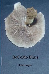 Cover image for BoCoMo Blues