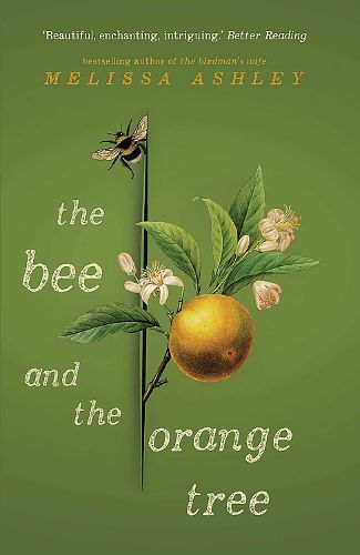 Cover image for The Bee and the Orange Tree