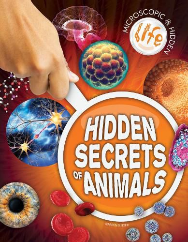 Cover image for Hidden Secrets of Animals