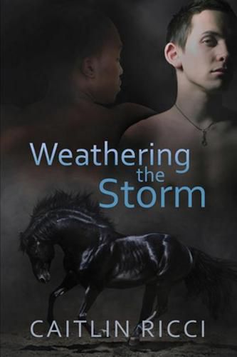 Cover image for Weathering the Storm