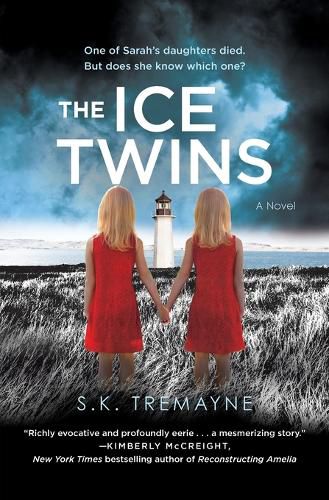 Cover image for The Ice Twins