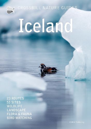 Cover image for Iceland