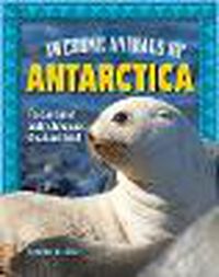 Cover image for Awesome Animals of Antarctica