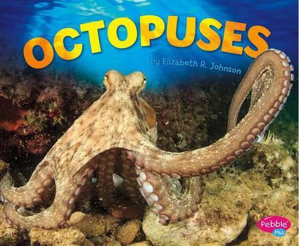 Cover image for Octopuses