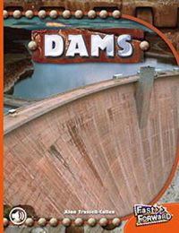 Cover image for Dams