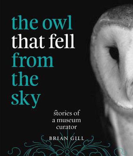 Cover image for The Owl That Fell from the Sky: Stories of a Museum Curator